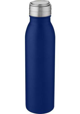 Harper 700 ml stainless steel water bottle with metal loop
