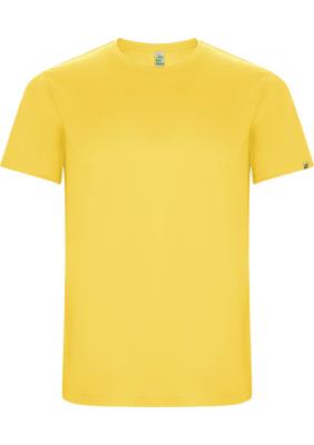 Imola short sleeve men's sports t-shirt